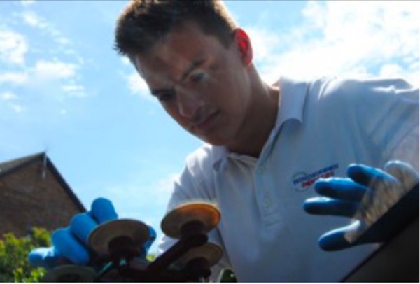 Windscreen Chip Repair Services Stevenage
